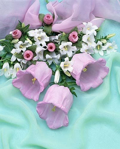 flower015