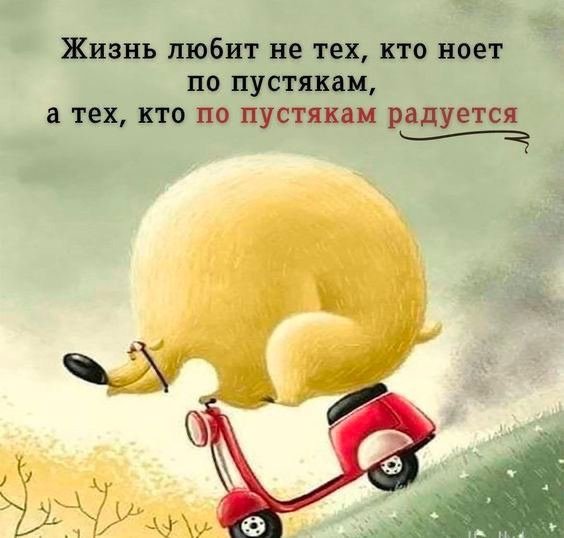 file_95103002