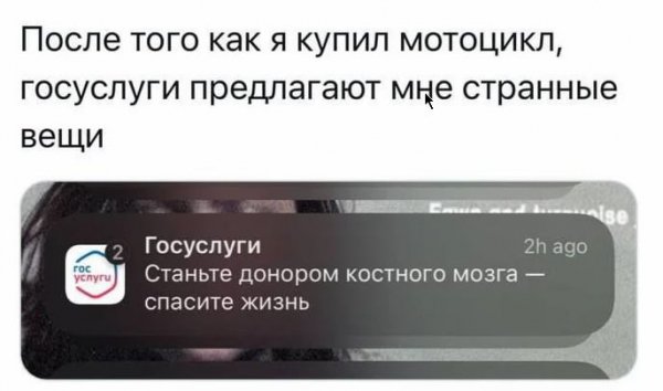 IMG 20260924 215406 447
