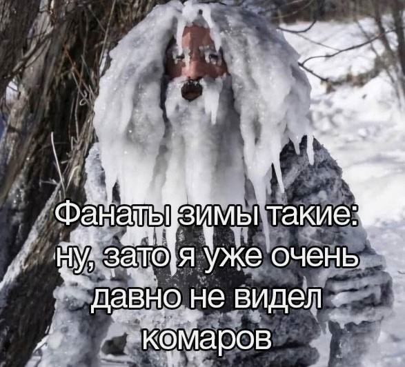 file_98989981