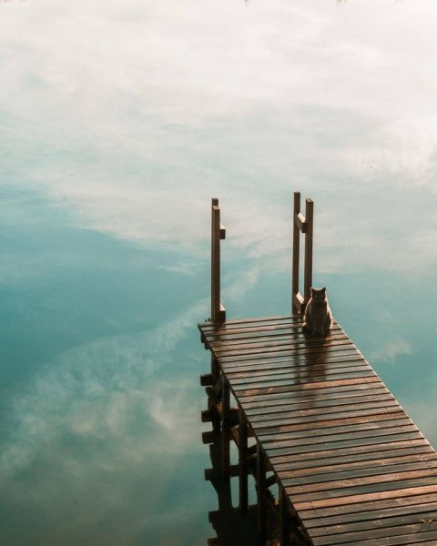 IMG-928a8c0e619e6be55f477e5c1b598323-V