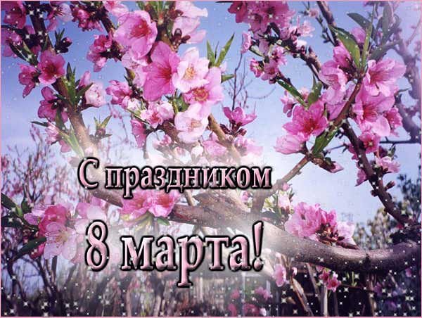 getImage-3