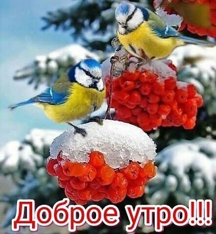 file_79761119
