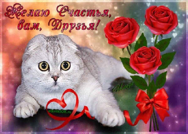 Желаю счастья вам друзья!