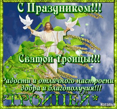 file_81870673