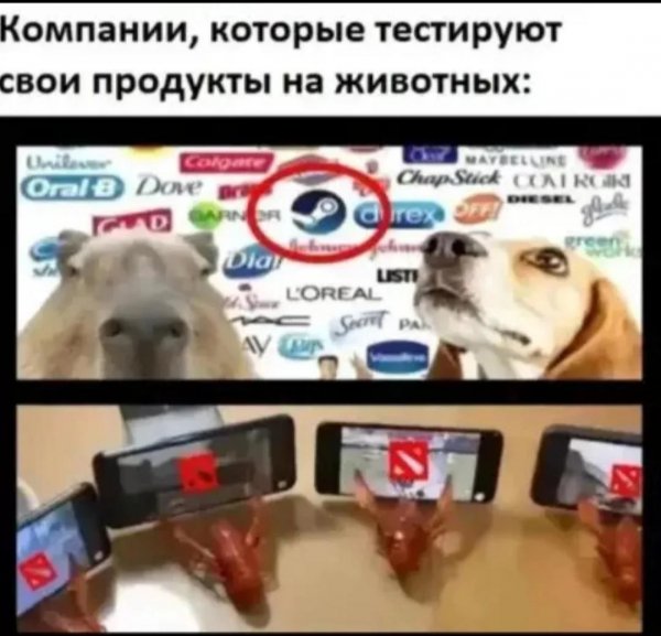IMG 20260914 121509 726