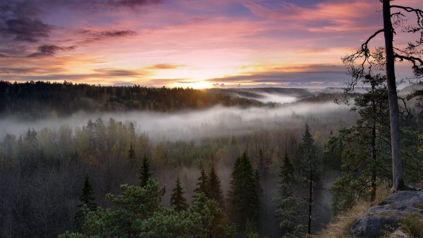 Image (38)
