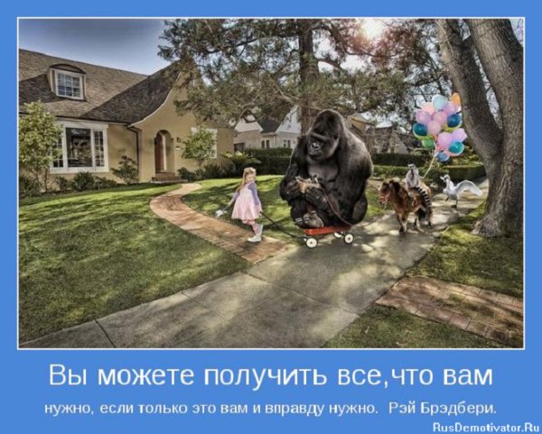 Вы можете получить всё...