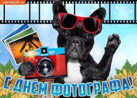 s-dnem-fotografa-druzya-pozdravlyayu-56015