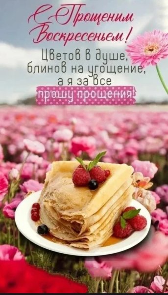 IMG 20260224 125721