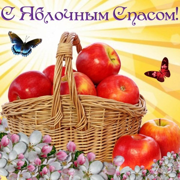 image (55)