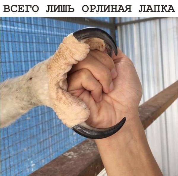 W8srpvyQ6bk