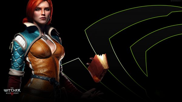 witcher 3 dikaya ohota