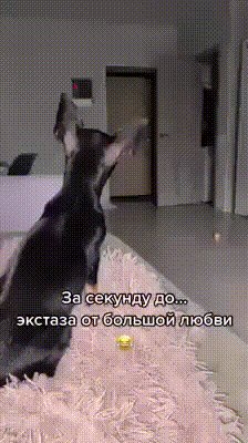 И так каждый раз...