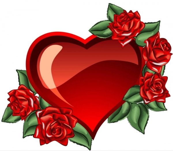 IMG 20240309 182308
