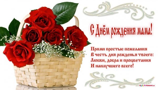 file_81297366