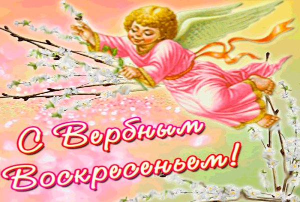 file_77087548