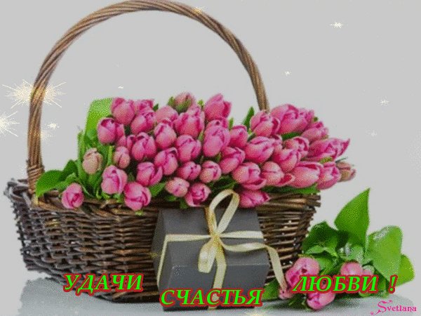 IMG 20180226 073839 9