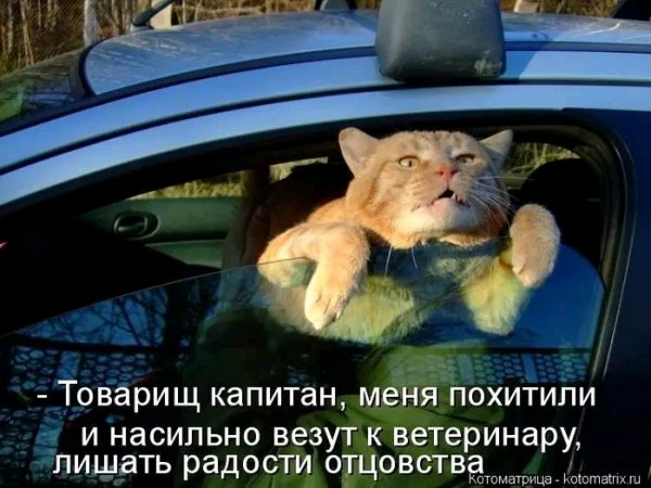 file_103267800