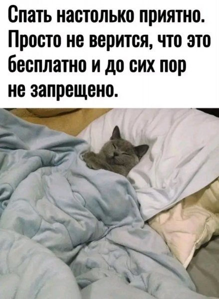 file_103264498