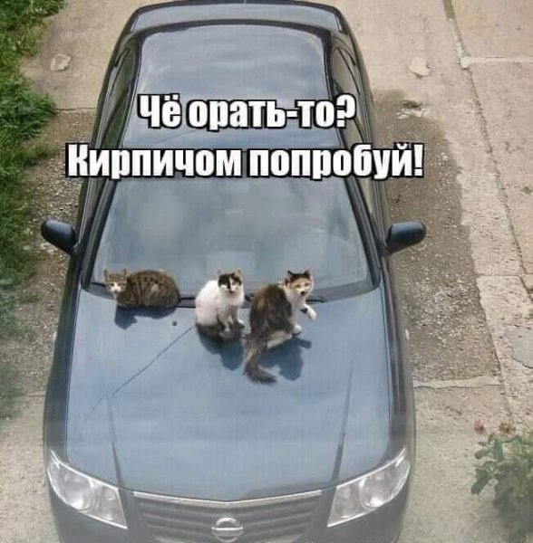FB IMG 1725663021482