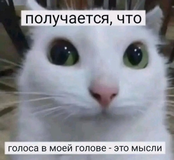 file_103265963