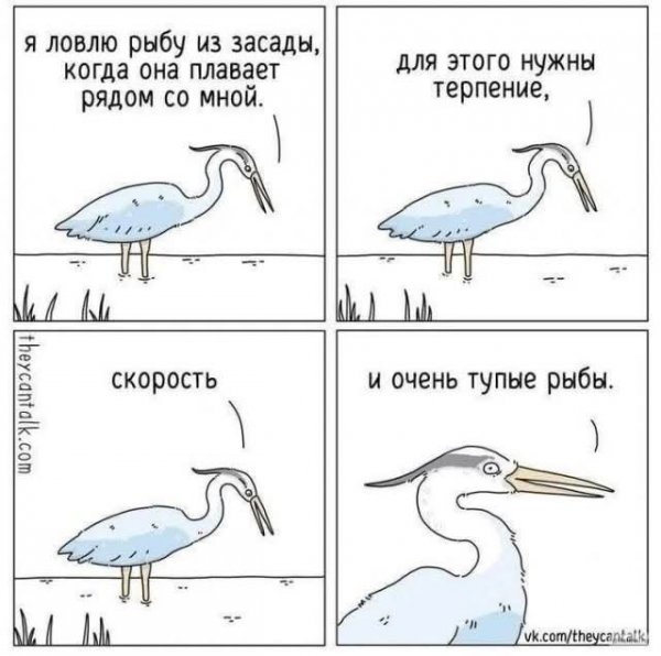 FB IMG 1780825772907