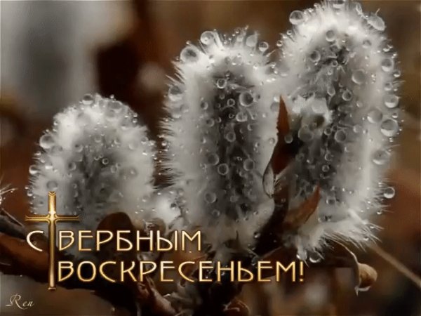 file_77195076
