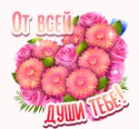 file_84683705
