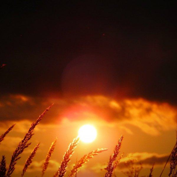 IMG-4cd0ccfde0add9dae9dd9466b8227f2e-V