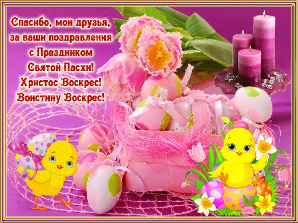 file_77025929