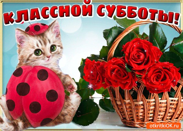 суббота 098002