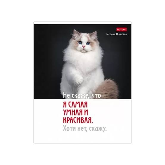 Images (4)