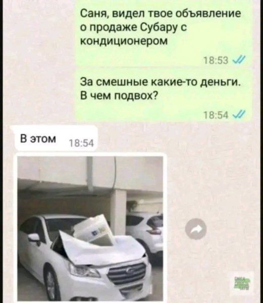 file_102871329