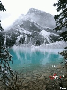 Animprir 3xC8