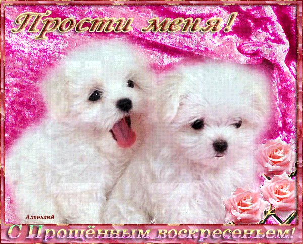 file_76868253