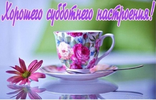 04N6PdDXjk4