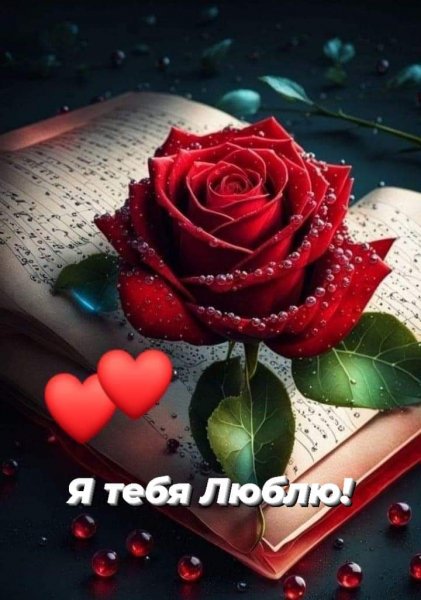 FB IMG 1714558691589
