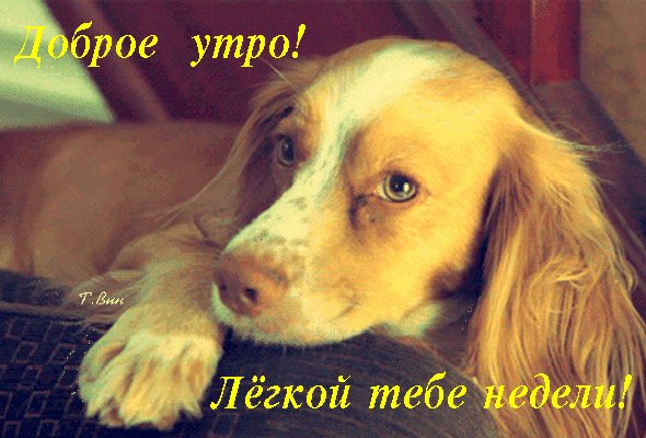 Анимированная открытка лёгкой тебе недели