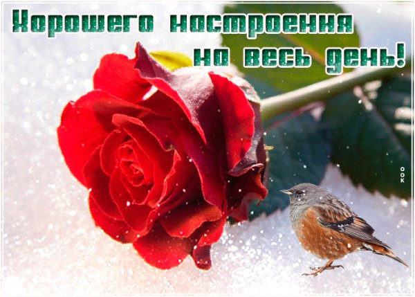 IMG 20210208 141001