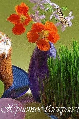 file_77400213