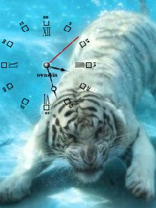 Tiger2B70cr77