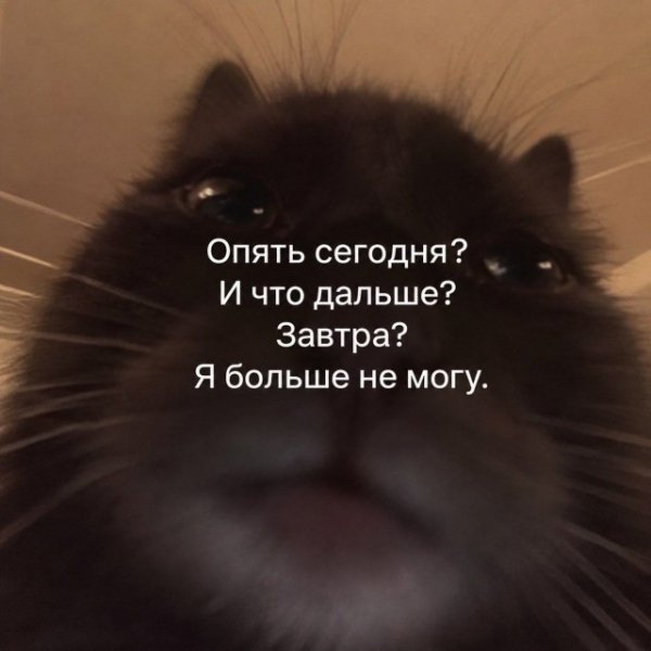 file_103547678