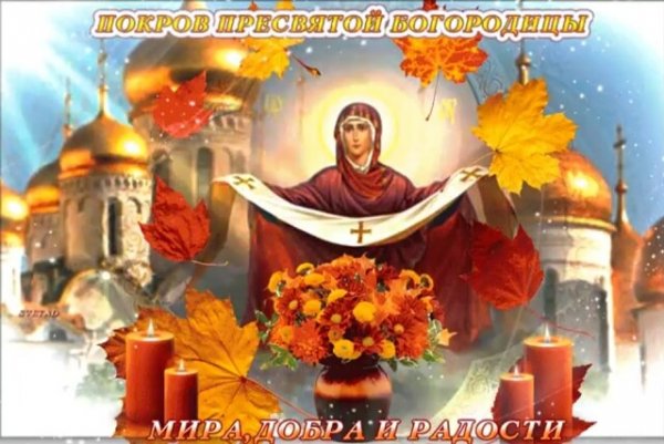 image (66)
