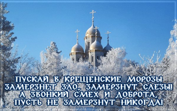 file_80278983