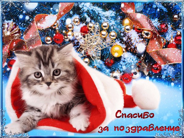 анимированная открытка новогоднее спасибо