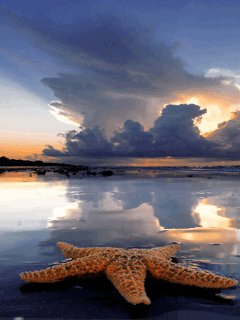 file_84220923