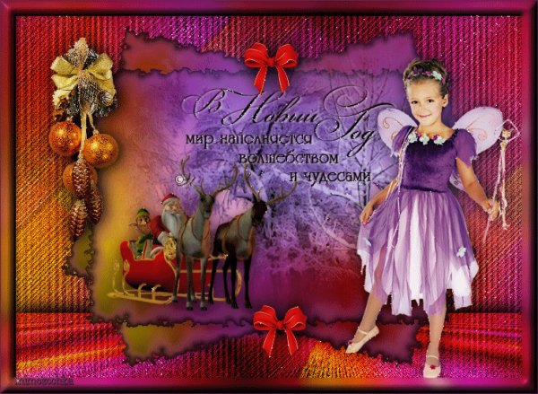 0 b30cd bd0ef0f5 XL