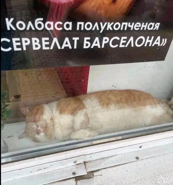file_103265974