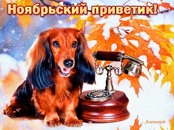 Анимированная открытка ноябрьский приветик (1)